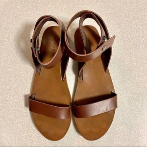 Everlane Brown Leather Ankle Strap Sandals